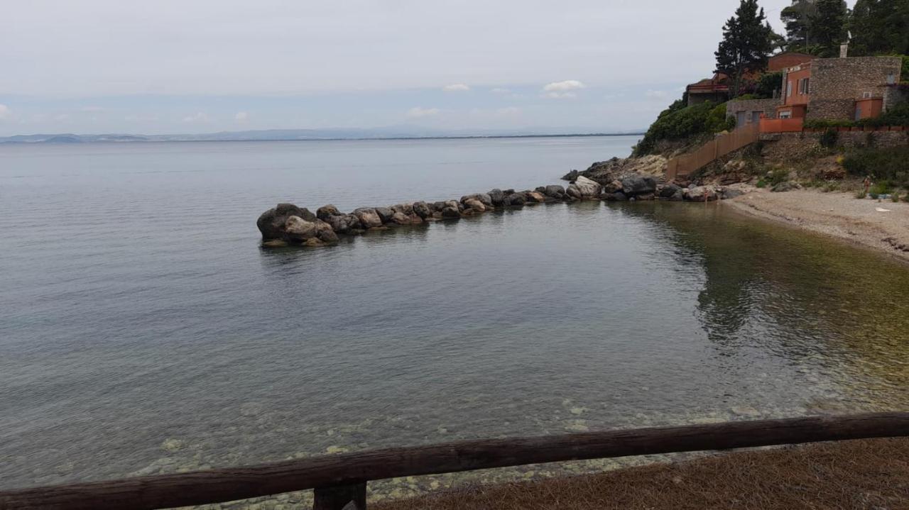 Vakantiehuis Affitti Brevi Toscana - La Terrazza Sulla *